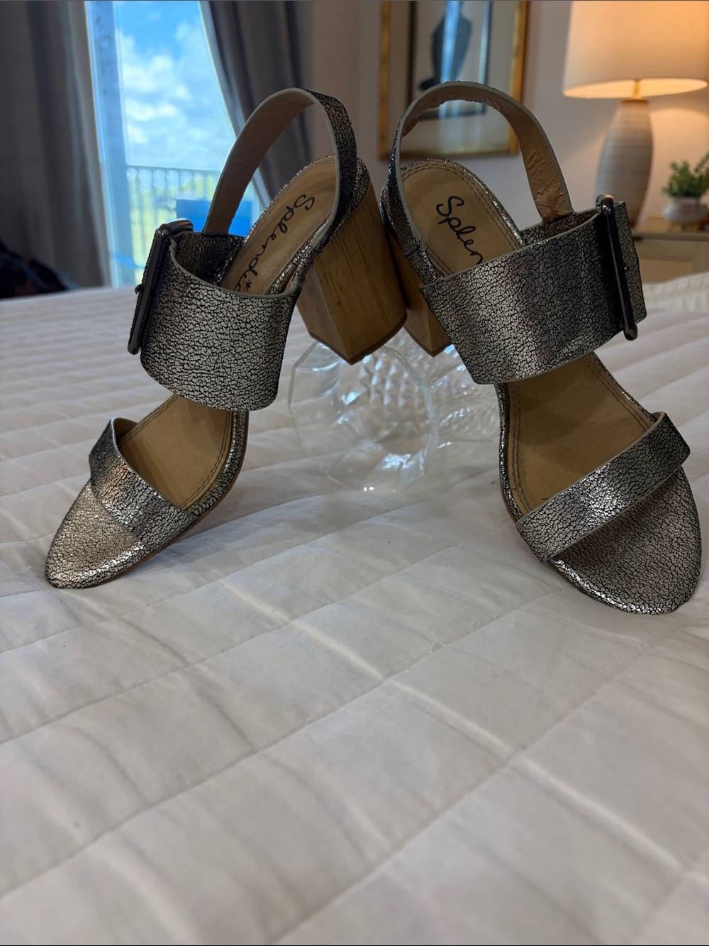 Splendid Metallic Silver Block Heel Sandals